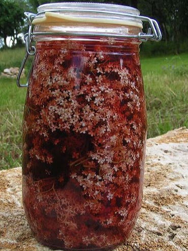 elder berries flower vinegar
