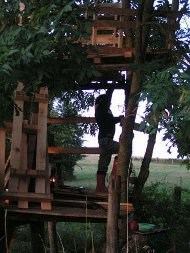 second step of tree house